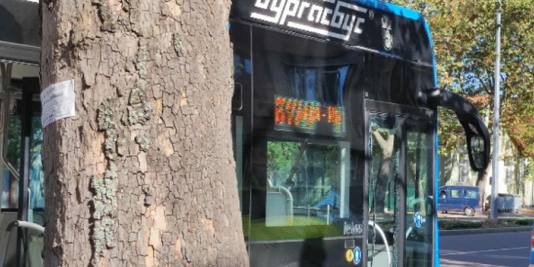 Пътник счупи стъклото на врата в автобус в бургаския градски транспорт, за да слезе