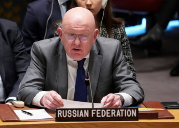 Василий Небензя: Изкуствено раздутата истерия около Полша е изгодна за Зеленски и европейските войнолюбци