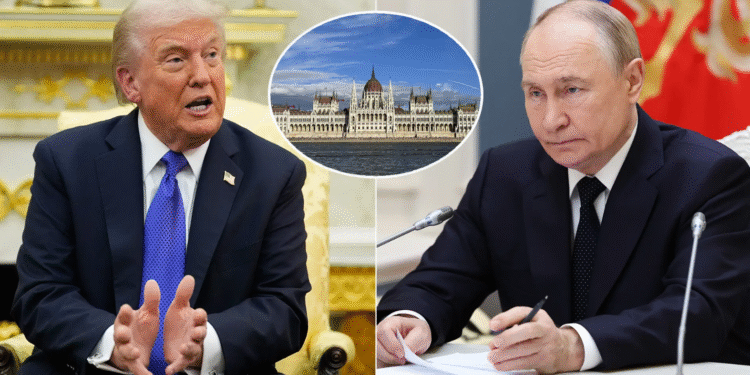 Тръмп отмени срещата си с Путин в Будапеща след като Москва потвърди, че продължава своята СВО в Украйна