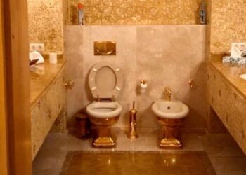 Най-проукраинските медии в Лондон вече пишат за „златната тоалетна, която поглъща режима на Зеленски“